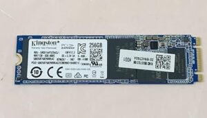 M.2 256 GB 3-in-1 SSD | Internal NVMe/SATA + USB Adapter Portable Storage